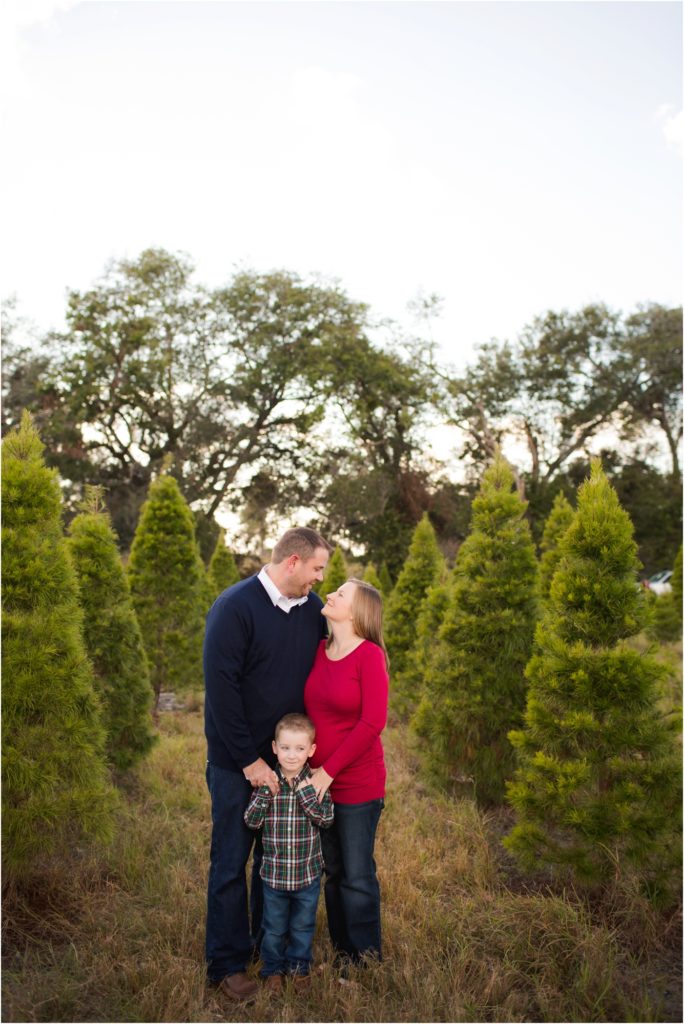 santas christmas tree farm